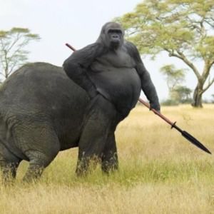 Meet your Posher, Aaron